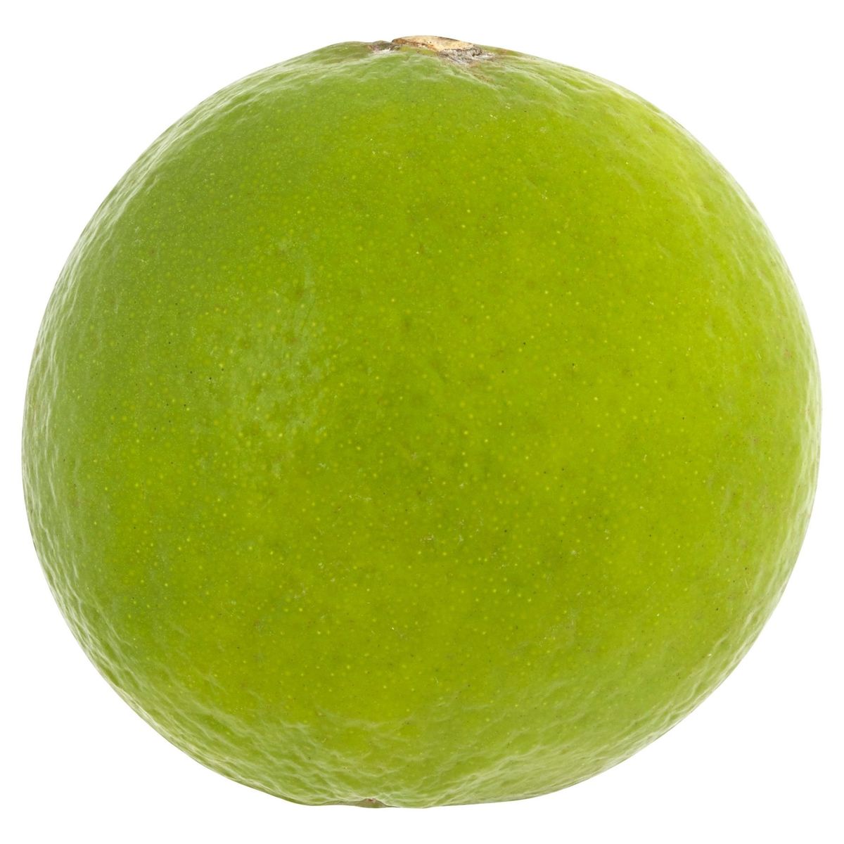Limes - 2 pièces