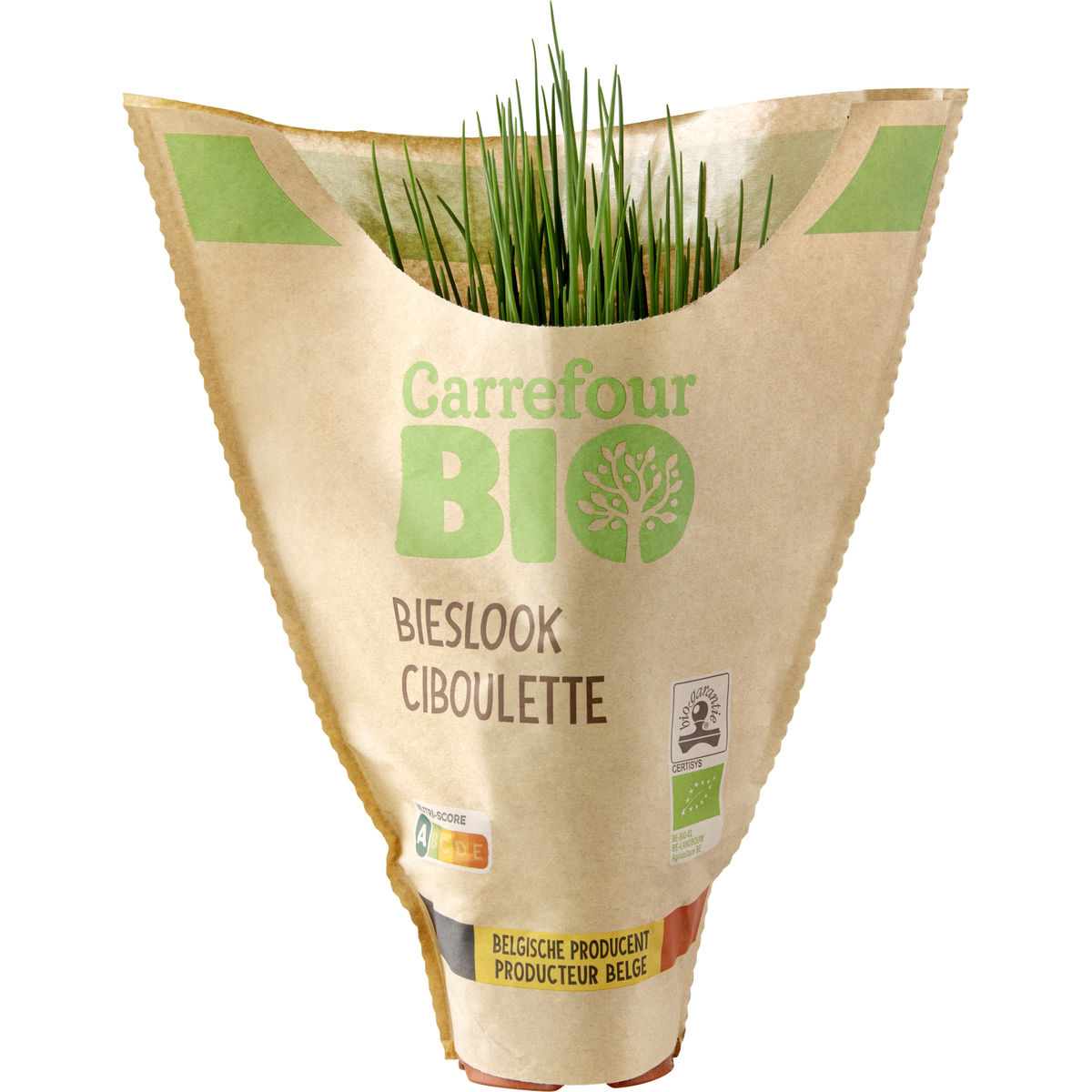 Carrefour Bio Bieslook in pot