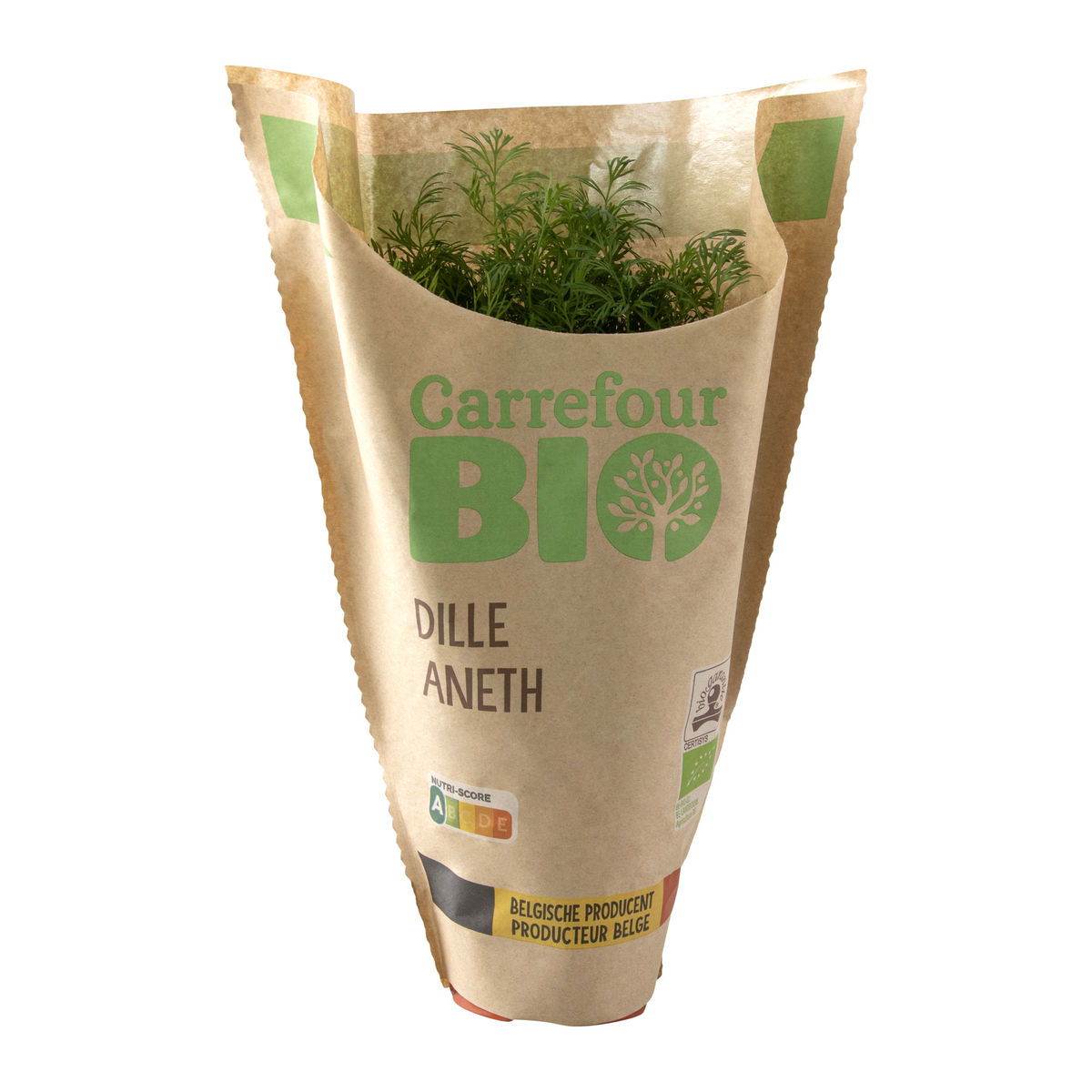 Carrefour BIO Dille in pot