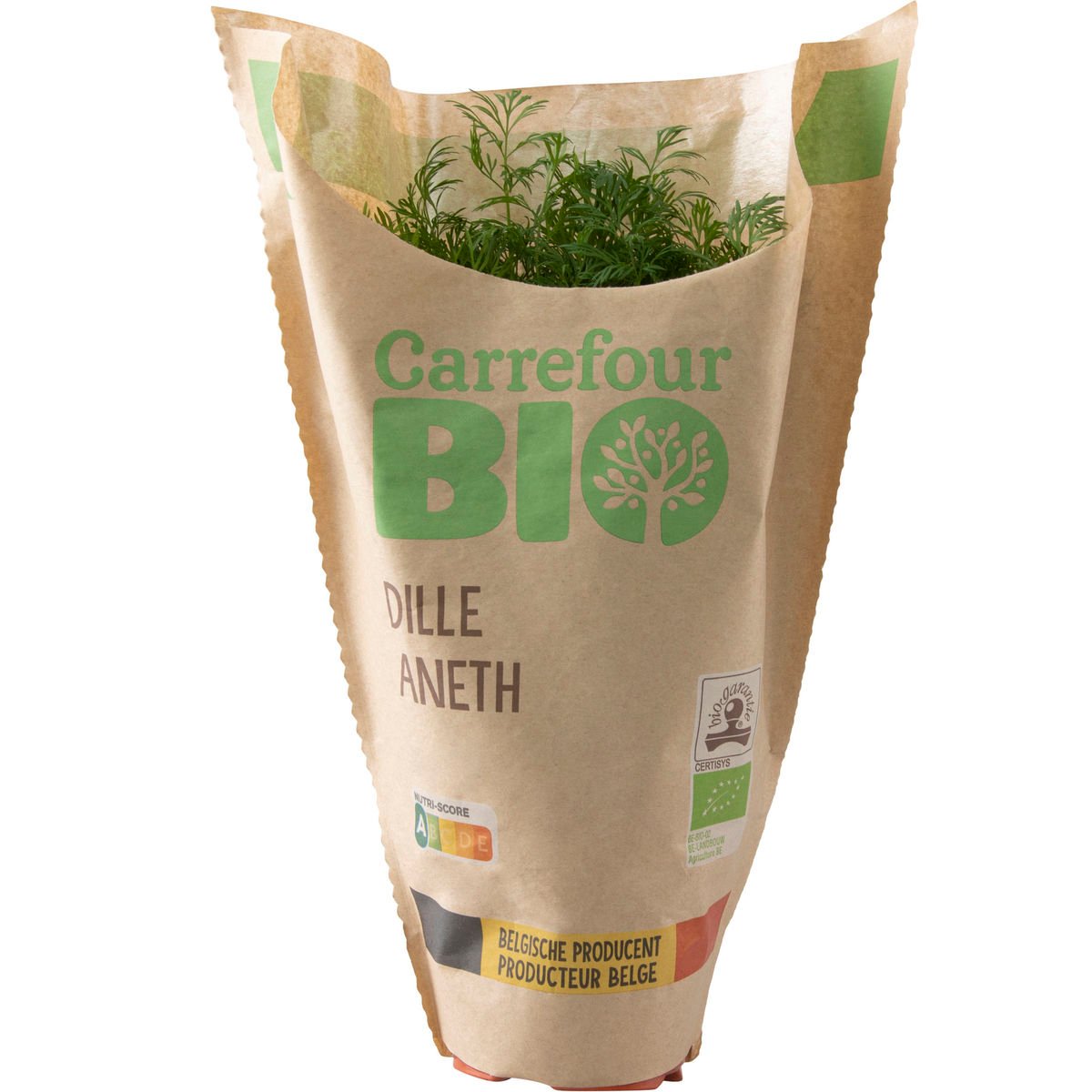 Carrefour BIO Dille in pot