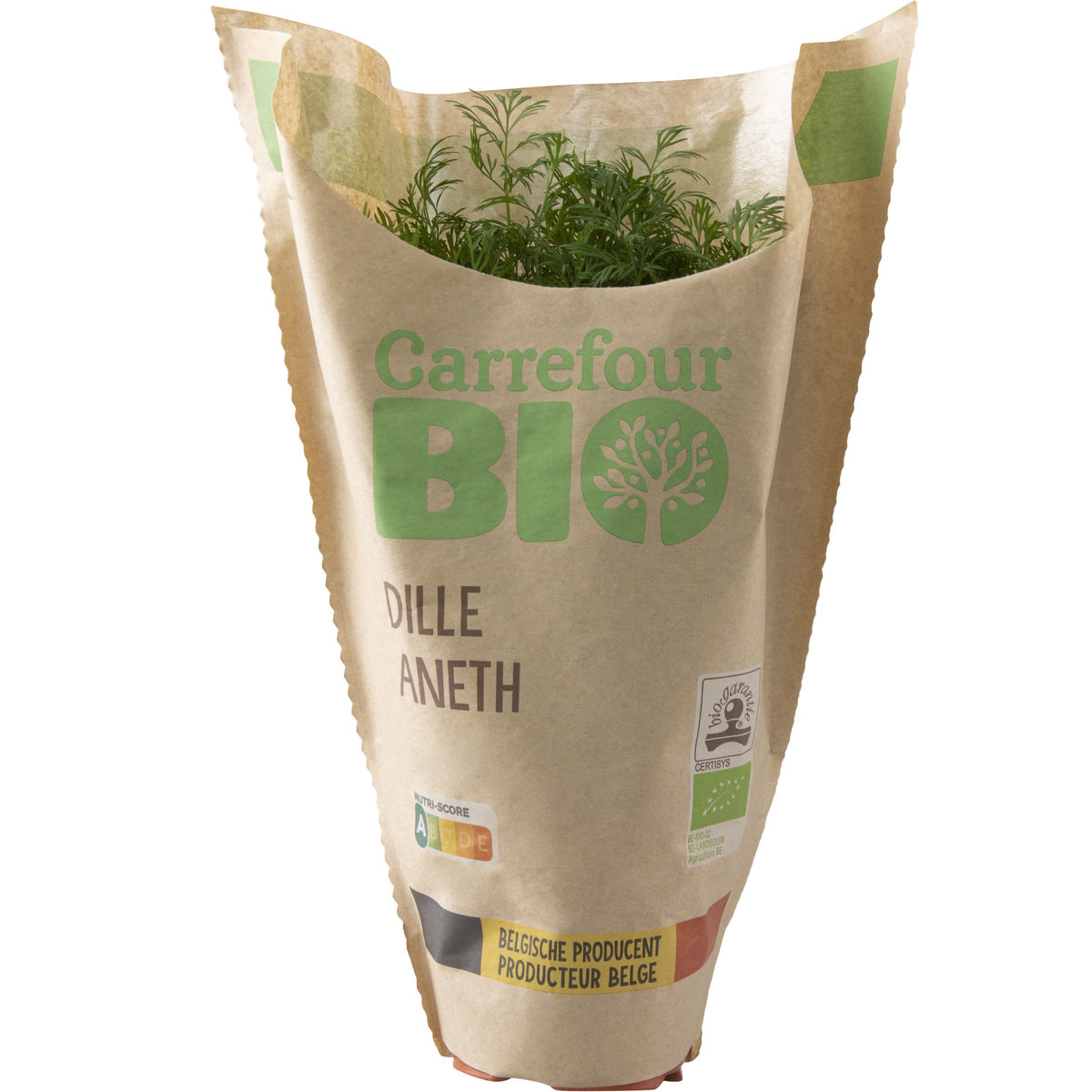 Carrefour BIO Aneth en pot