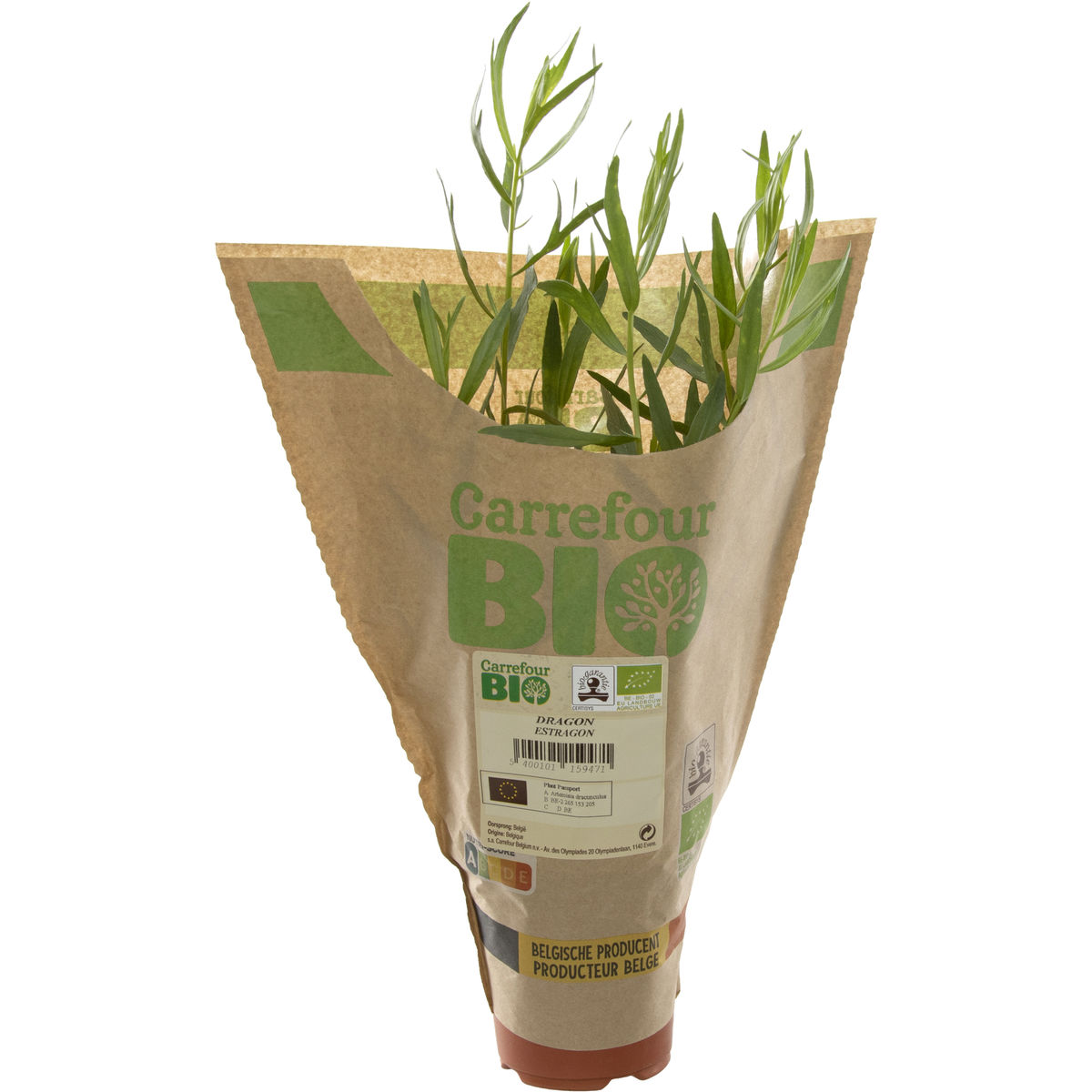 Carrefour BIO Estragon en pot