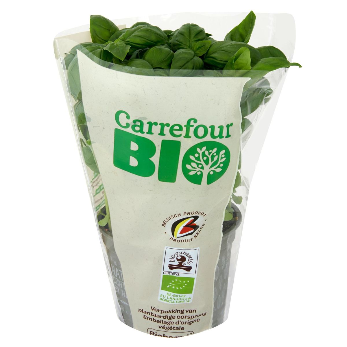 Carrefour Bio Basilic