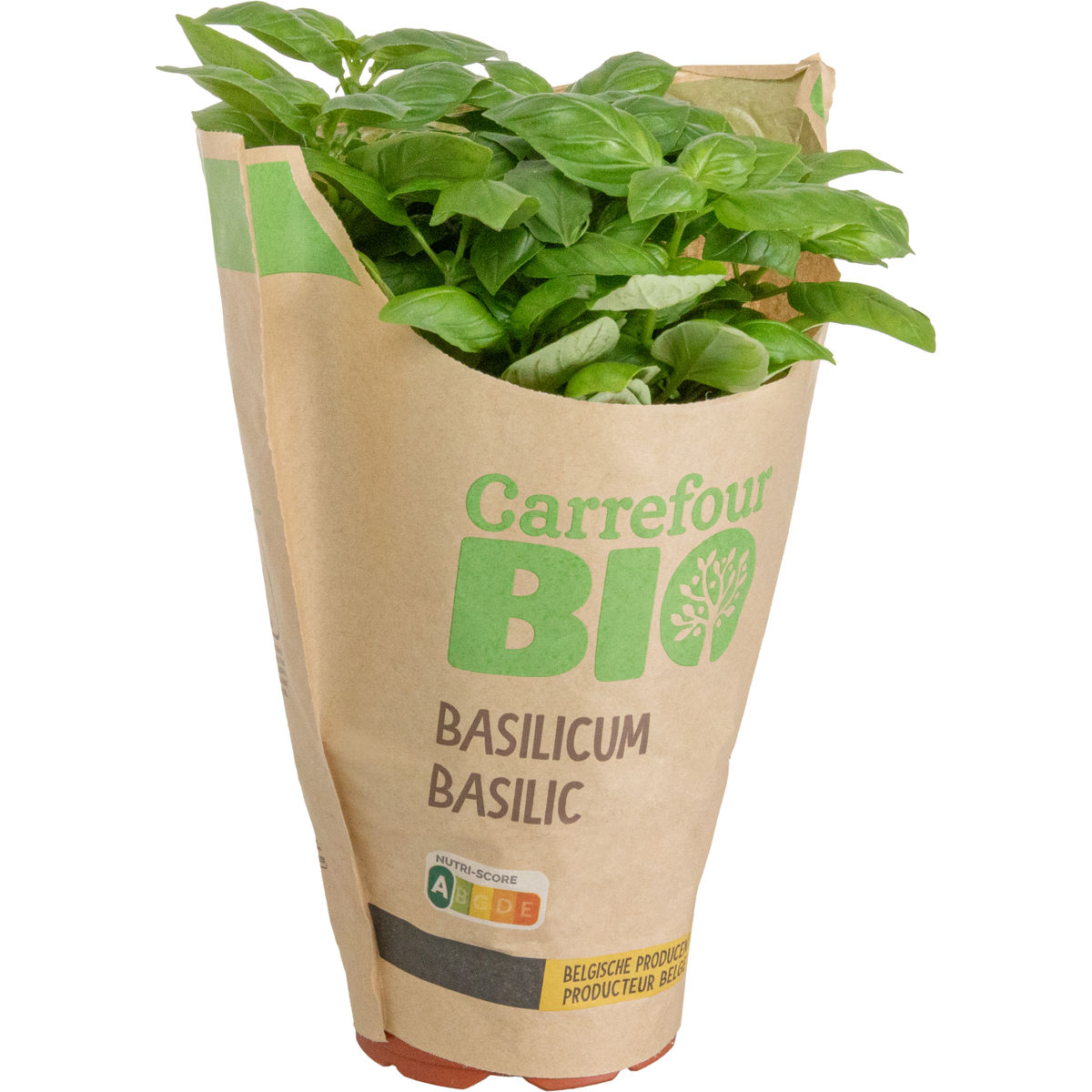 Carrefour Bio Basilic