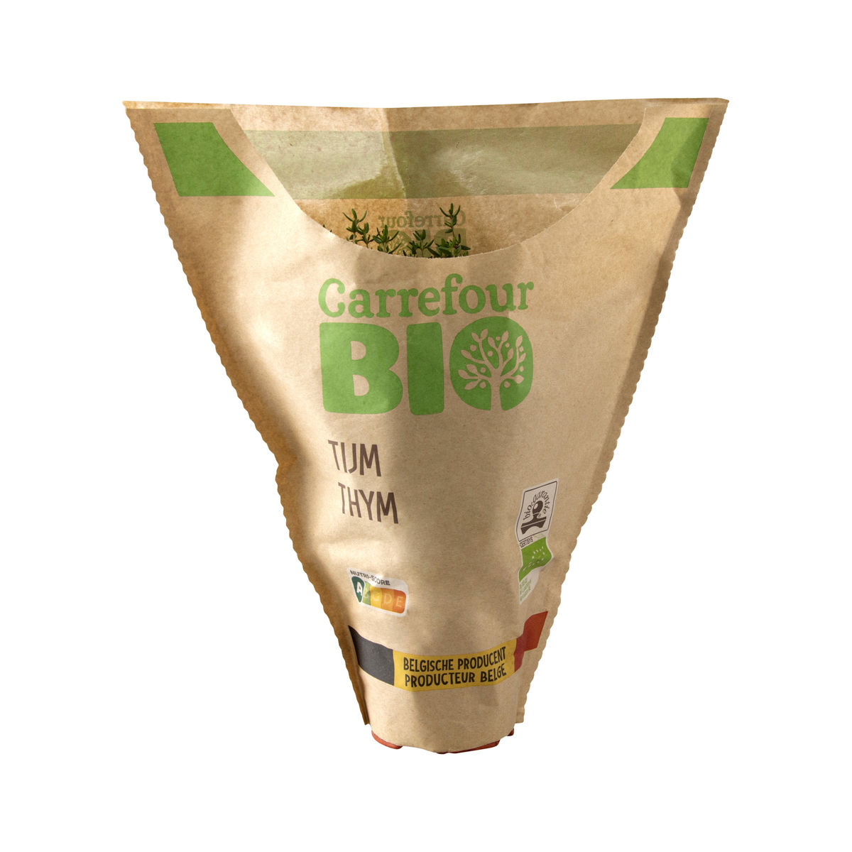 Carrefour Bio Thym en pot