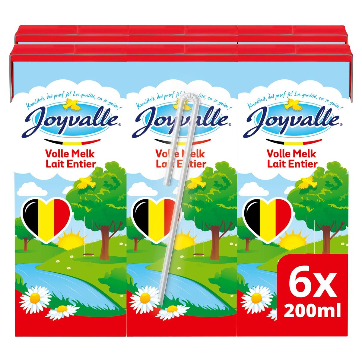 Joyvalle Lait Entier 6 x 0.2 L