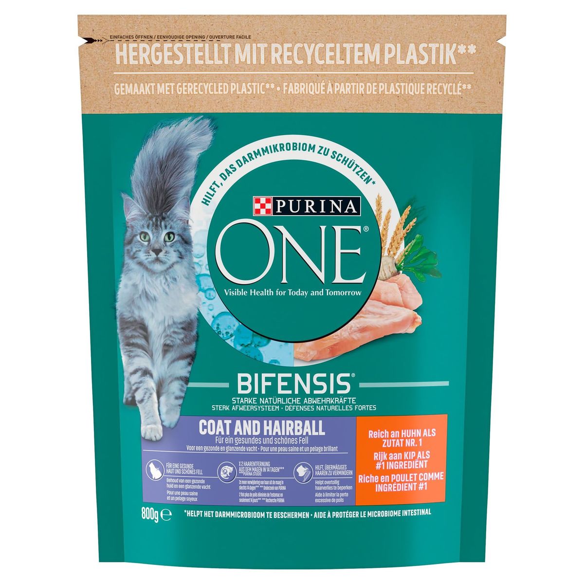 Purina One Bifensis Coat & Hairball 800 g