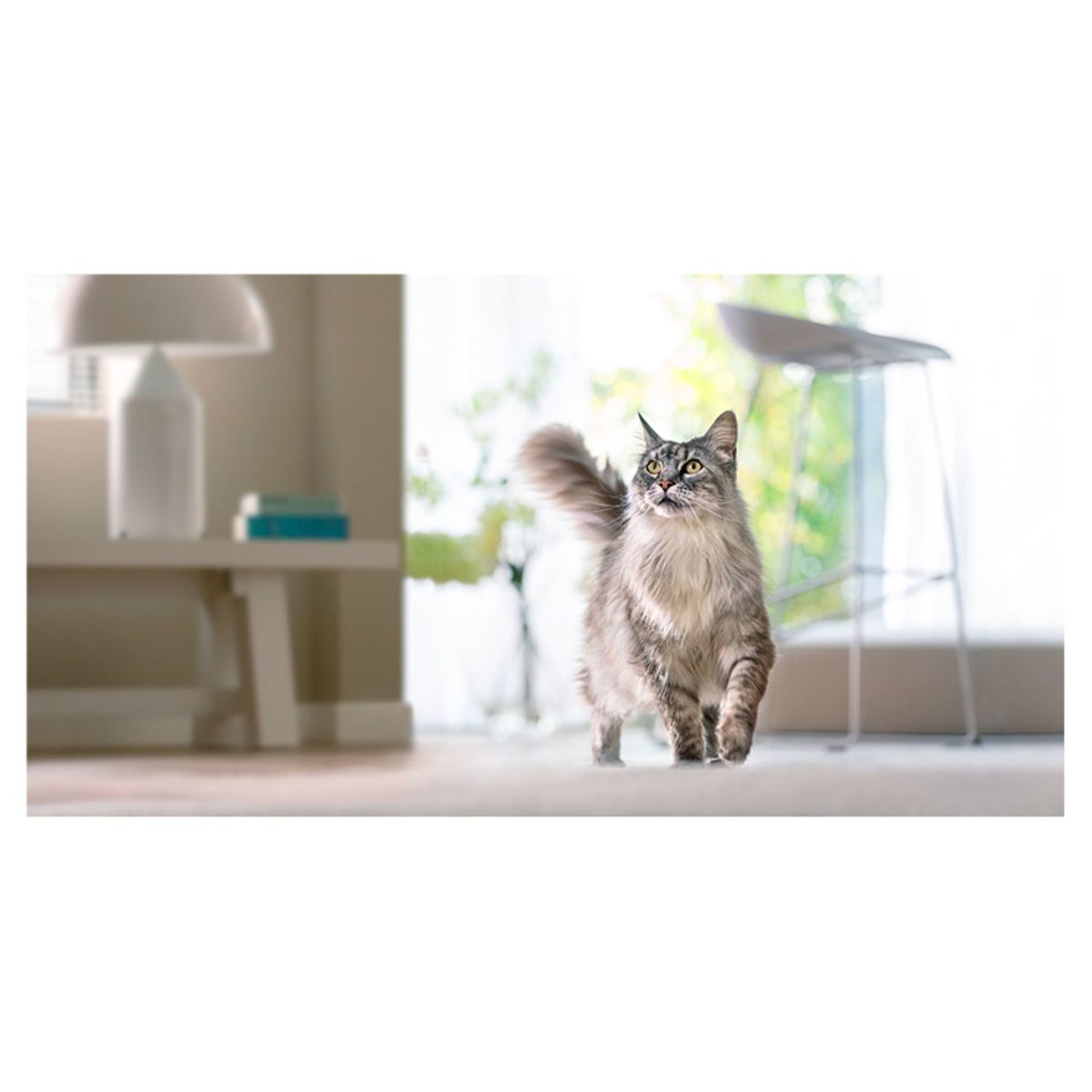 Purina One Mini Small <10kg Adult 1.5 kg