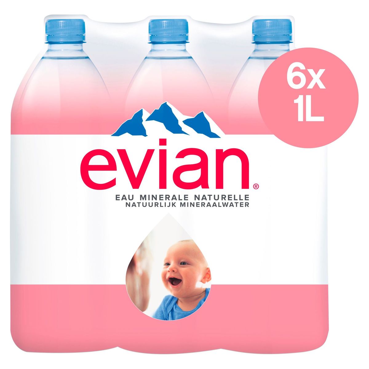 Evian 6 x 1 L