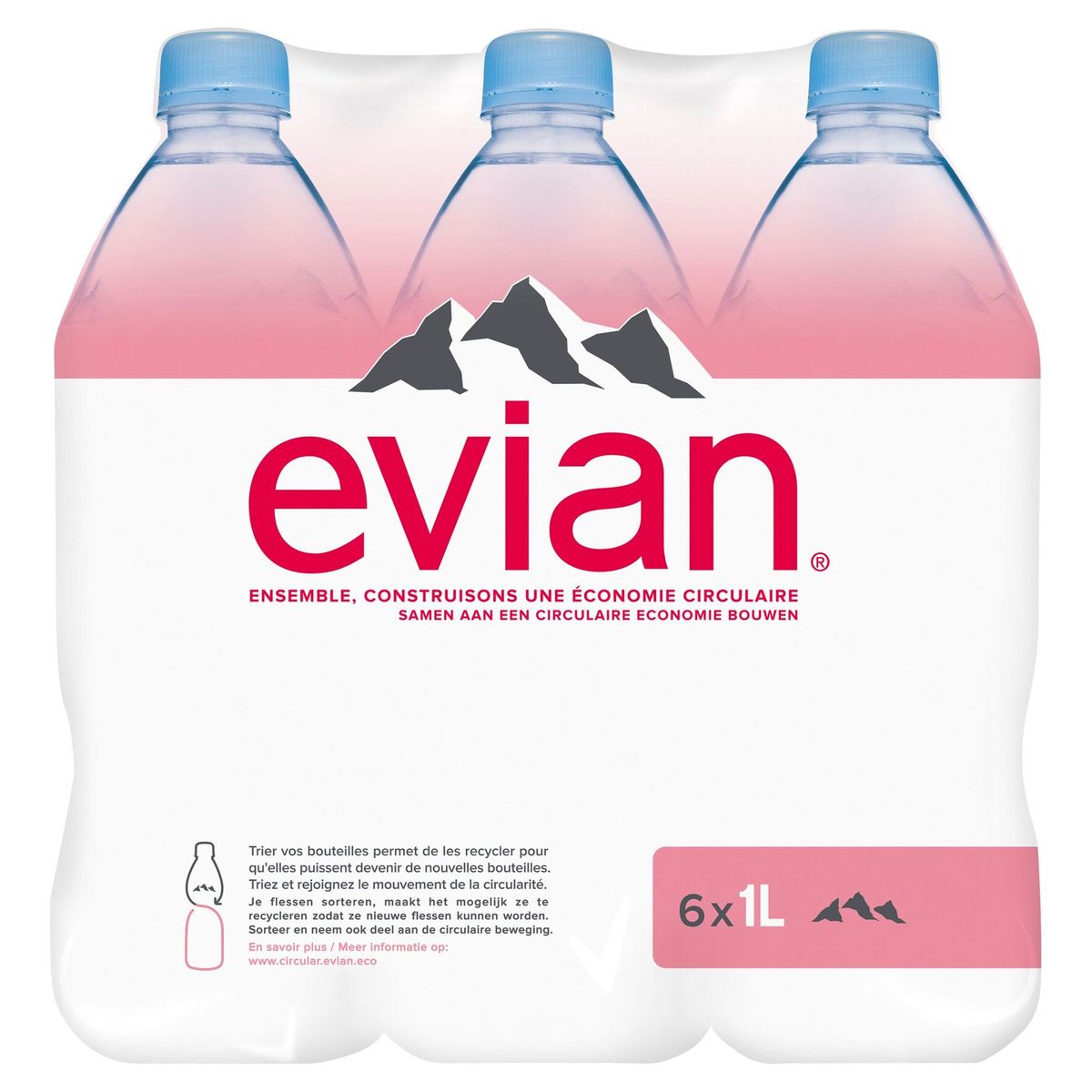 Evian 6 x 1 L
