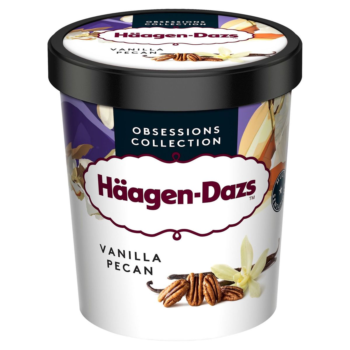 Häagen-Dazs Crème glacée Vanilla Pecan Pint 460ml