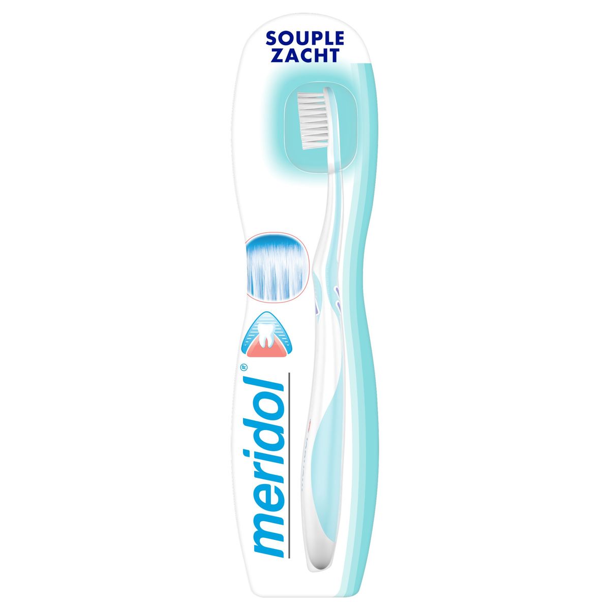 Meridol Protection gencives Souple brosse à dents 1 pièce