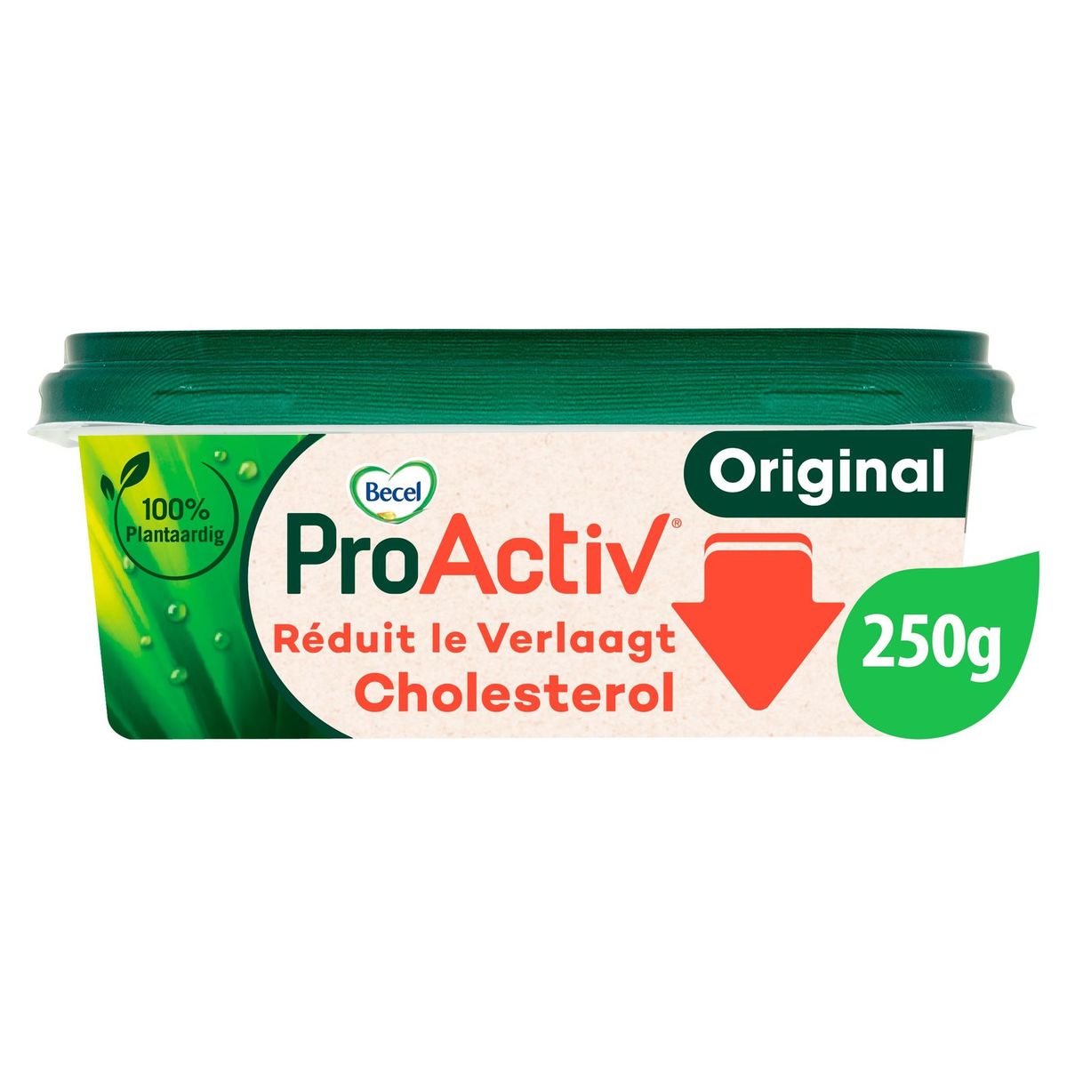 ProActiv | Verlaagt cholesterol | 250g