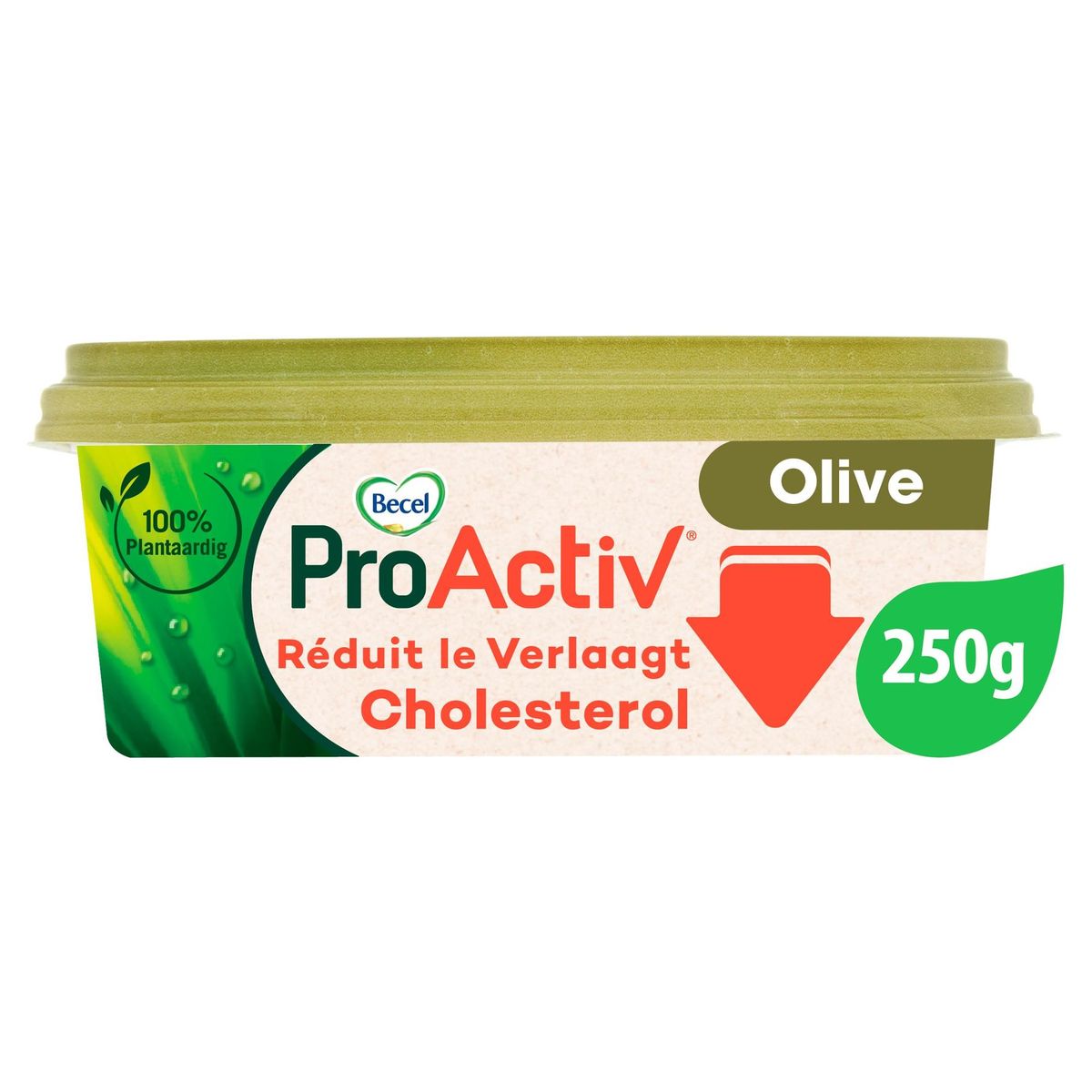 ProActiv | Verlaagt cholesterol | met Olijfolie | 250g