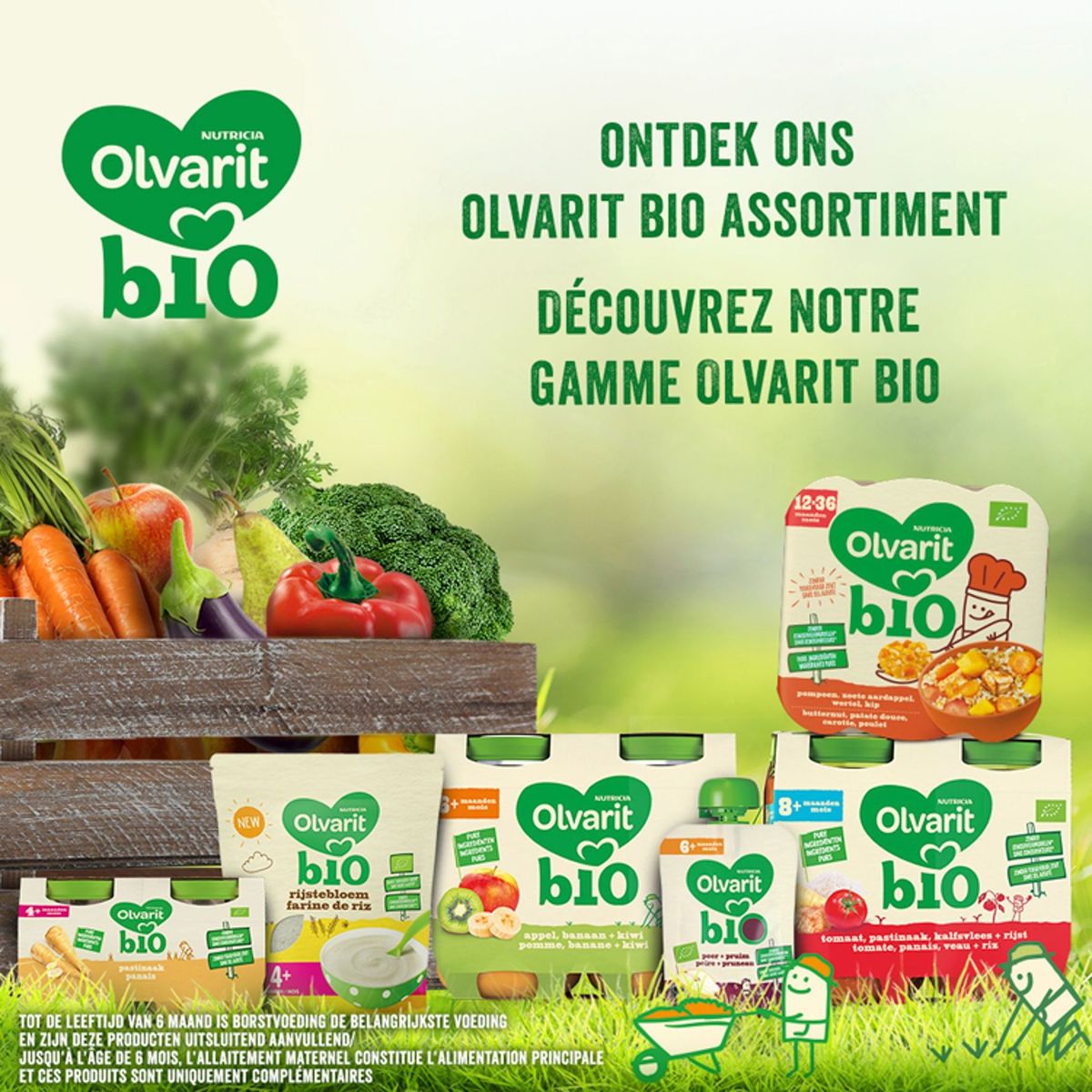 Olvarit Bio Babyvoeding Vanaf 12 Maanden Curry Quinoa Kikkererwt 230g