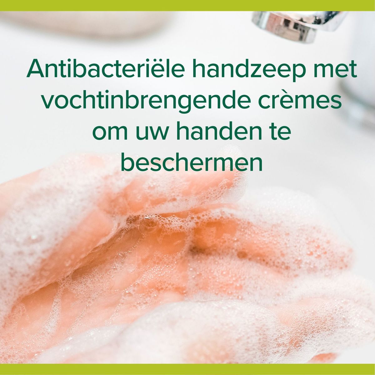 Savon liquide pour mains antibactérien Palmolive Hygiene Plus 300ml