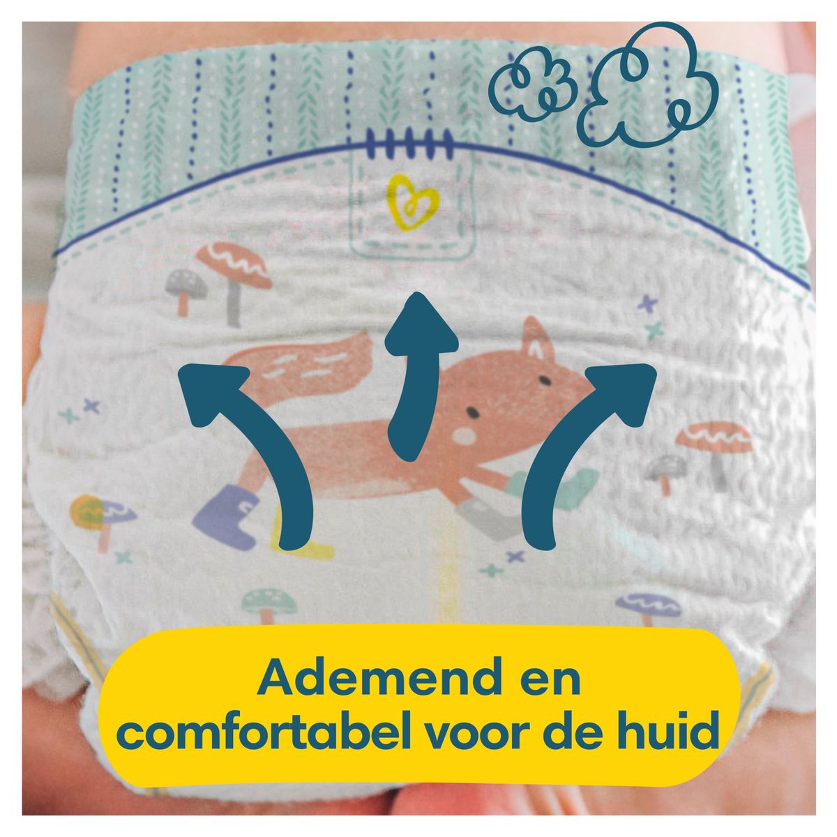 Pampers Premium Protection Taille 6, x19 Langes