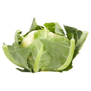 brassière carrefour