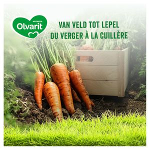 Olvarit Petit Pot Repas Bebe Des 8 Mois Carotte Poulet 2x0g Carrefour Site