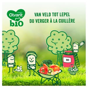 Olvarit Bio Compote Bebe Pomme Banane Kiwi 6 Mois 2x0g Carrefour Site